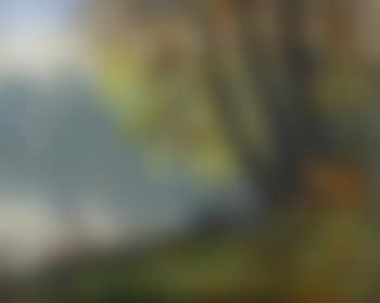 Coucher de soleil sur les bords de l'Orne (preview)