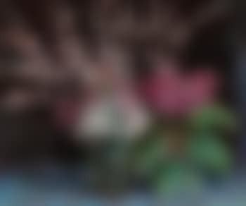 Bouquet de fleurs (preview)
