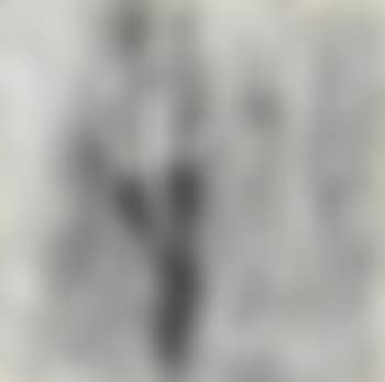 Asian Sex (preview)