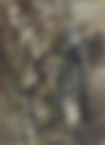 Tauride (preview)