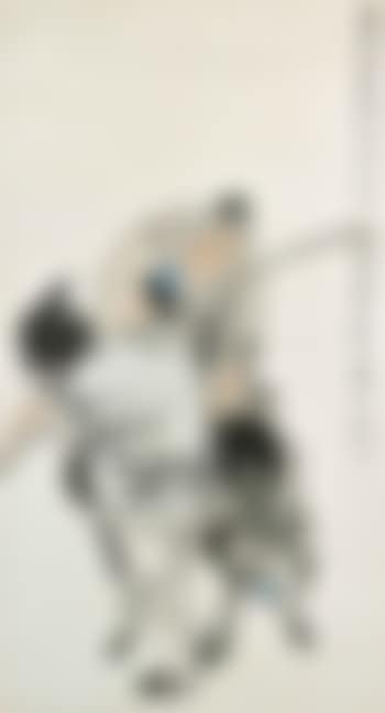 Riding Donkey (preview)