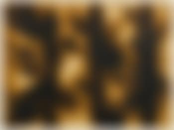 Peinture De Feu Sans Titre (F 5) (preview)