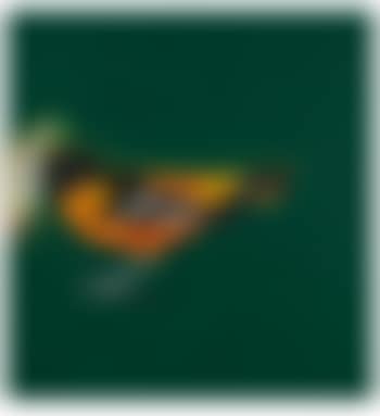 Baltimore Oriole Securing Freshwater Fish (preview)