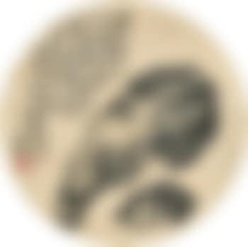 Rock (preview)