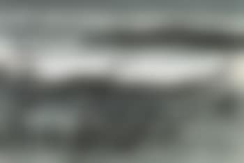 Reeds (preview)