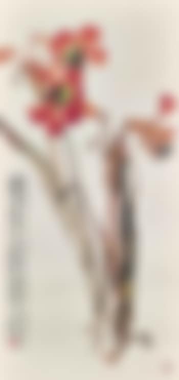 Red Canna Lily (preview)