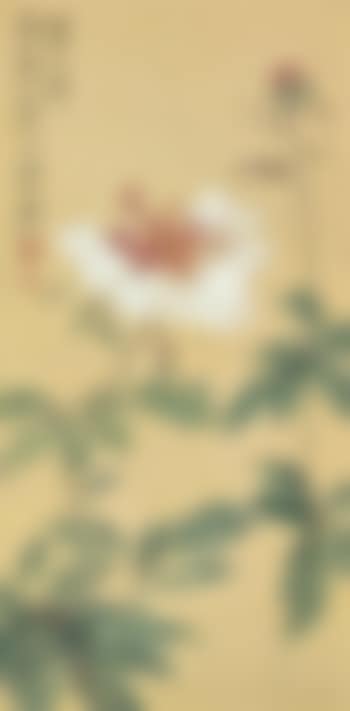 Peony (preview)