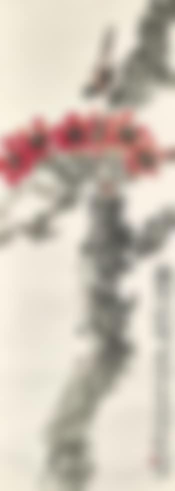 Bird on the Kapok Tree (preview)