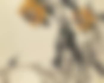 Sunflowers and Bird (preview)