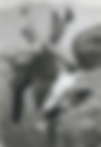 Sans Titre (Jambes Et Rochers) (preview)
