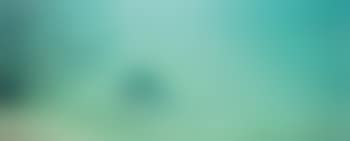 Untitled (# 774-02) (preview)