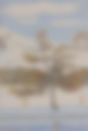 Das Val Bondasca im Winter (preview)