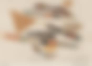 Ohne Titel (preview)
