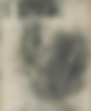 Stilleven (preview)