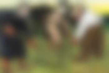Hooioogst met paard (preview)