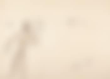African With Dog (preview)