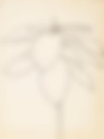 Milkweed (preview)