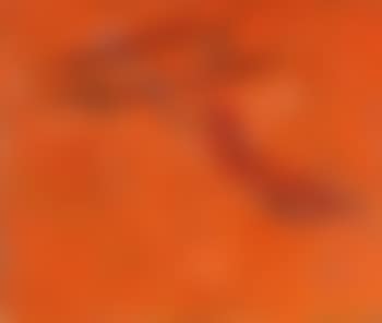 August 17th (preview)