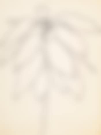 Leaf 4 - Spencertown (preview)