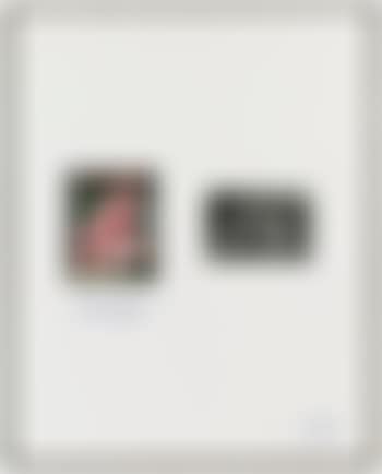 Untitled (preview)