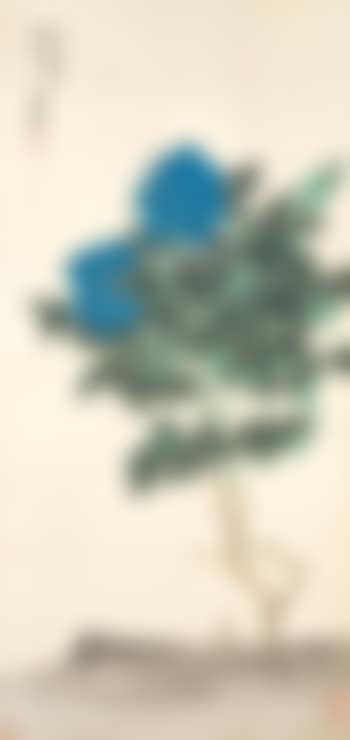 Buddha-head Blue Peony (preview)