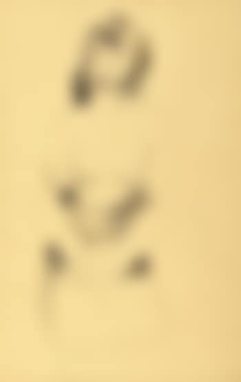 Untitled (Nude) (preview)