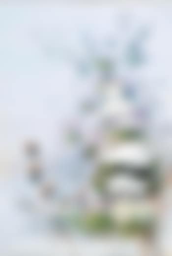 Still life (preview)