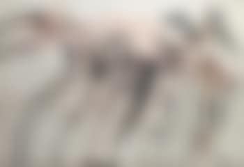 L'envol (preview)