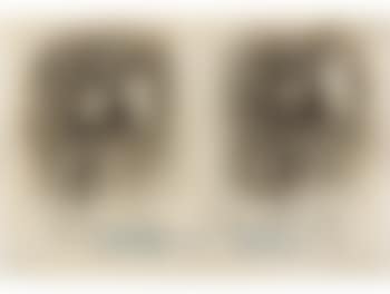 Verbs of Will (preview)