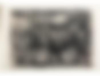 Rhino (preview)