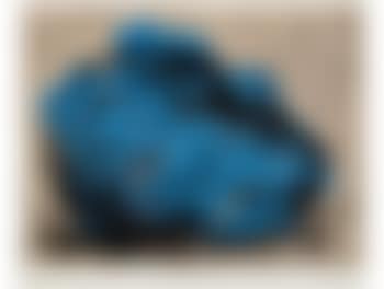 Blue Head (preview)