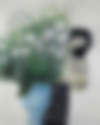 Grand bouquet au vase de Sicile (preview)