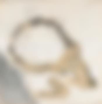 Escriptura Al Revés (preview)