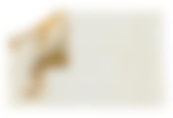 Ohne Titel (Hirsch) (preview)