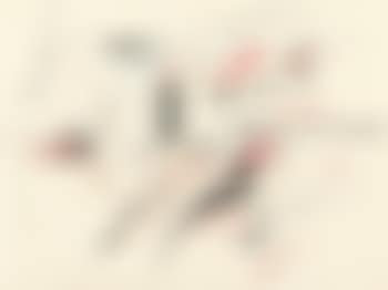 Ohne Titel (preview)