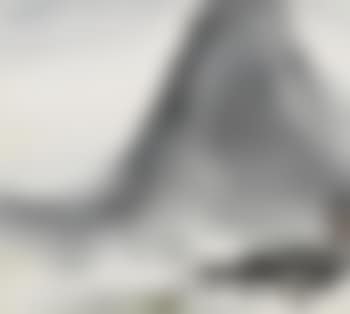Mountain retreat (preview)
