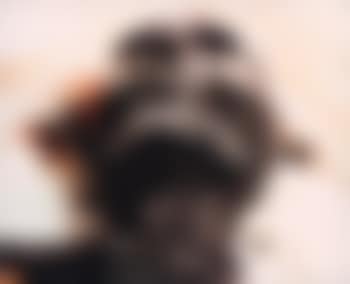 Burnt To Death (Aus Der Serie: The Morgue) (preview)
