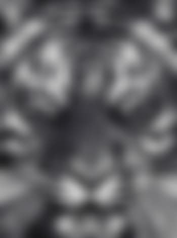 Untitled (Leo) (preview)