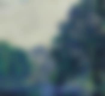 Park (preview)