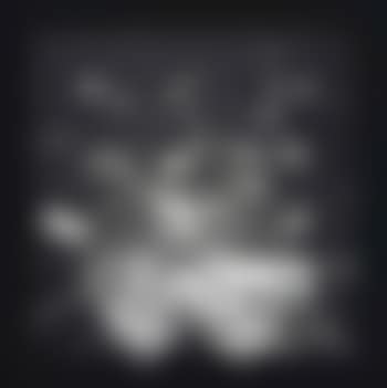 Continuel-lumiére (preview)