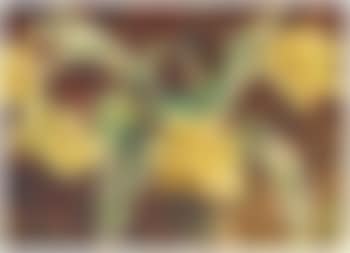 Gelbe Tulpen II (preview)