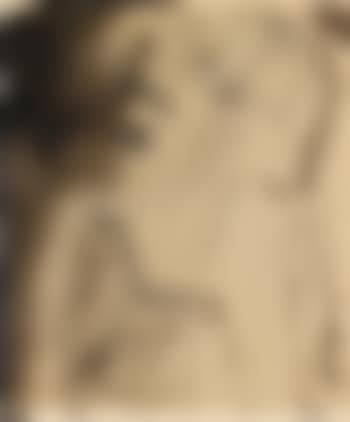 Woman in profile. Woman with decorative collar (preview)