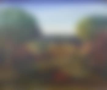 Paysage (preview)