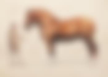 A Suffolk Punch and his groom (preview)