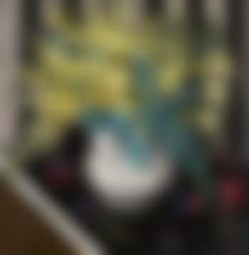 Wattle (preview)