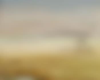 Wimmera (preview)