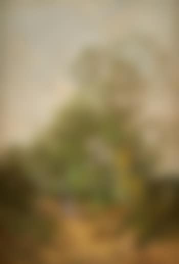 Promenade dans le chemin creux (preview)