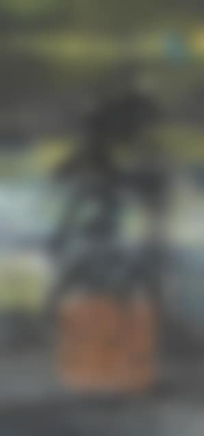 Golden Forest (preview)
