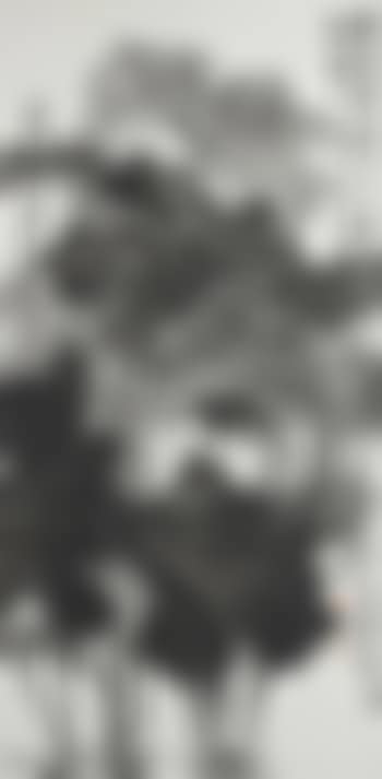 Lotus (preview)