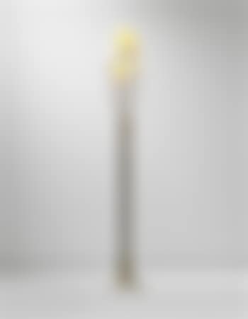 Rare floor lamp (preview)